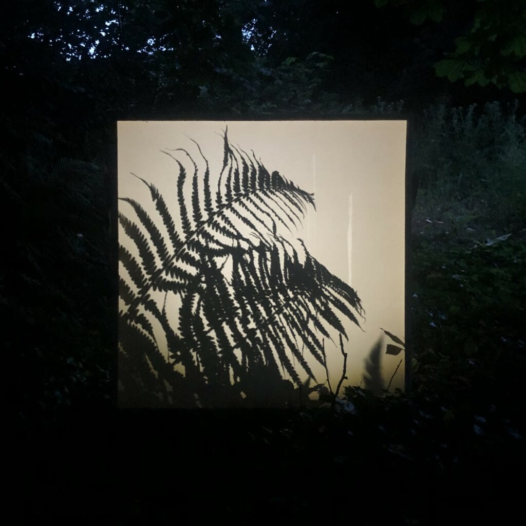 Liam Delaney Art piece